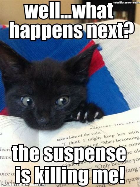 the suspense was killing me @cattiiiieeen .
